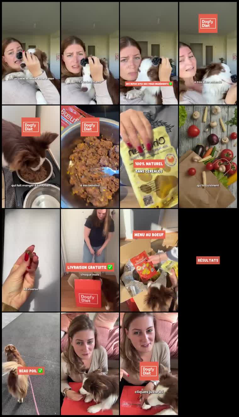 Preview Dogfy Diet France
