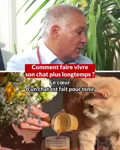 Aperçu Caats