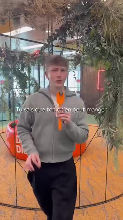 Aperçu Dogfy Diet France