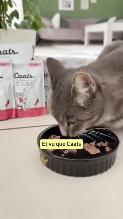Aperçu Caats
