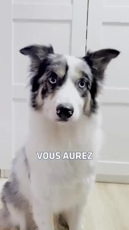 Aperçu Advance France